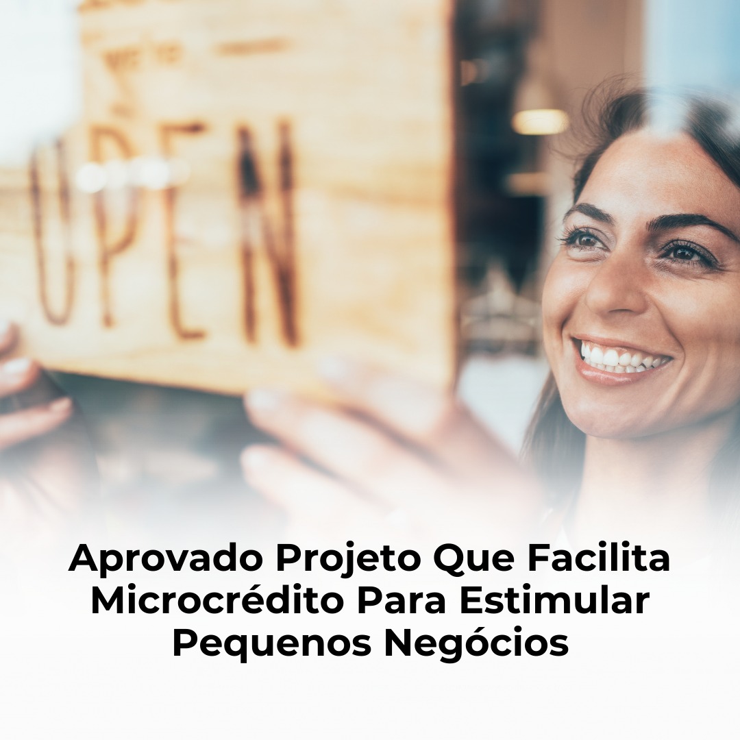 Aprovado Projeto Que Facilita Microcrédito Para Estimular Pequenos Negócios